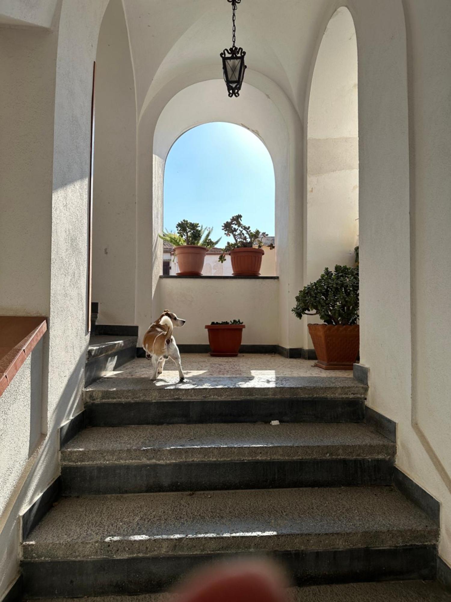 B&B Frai Sorrento Buitenkant foto