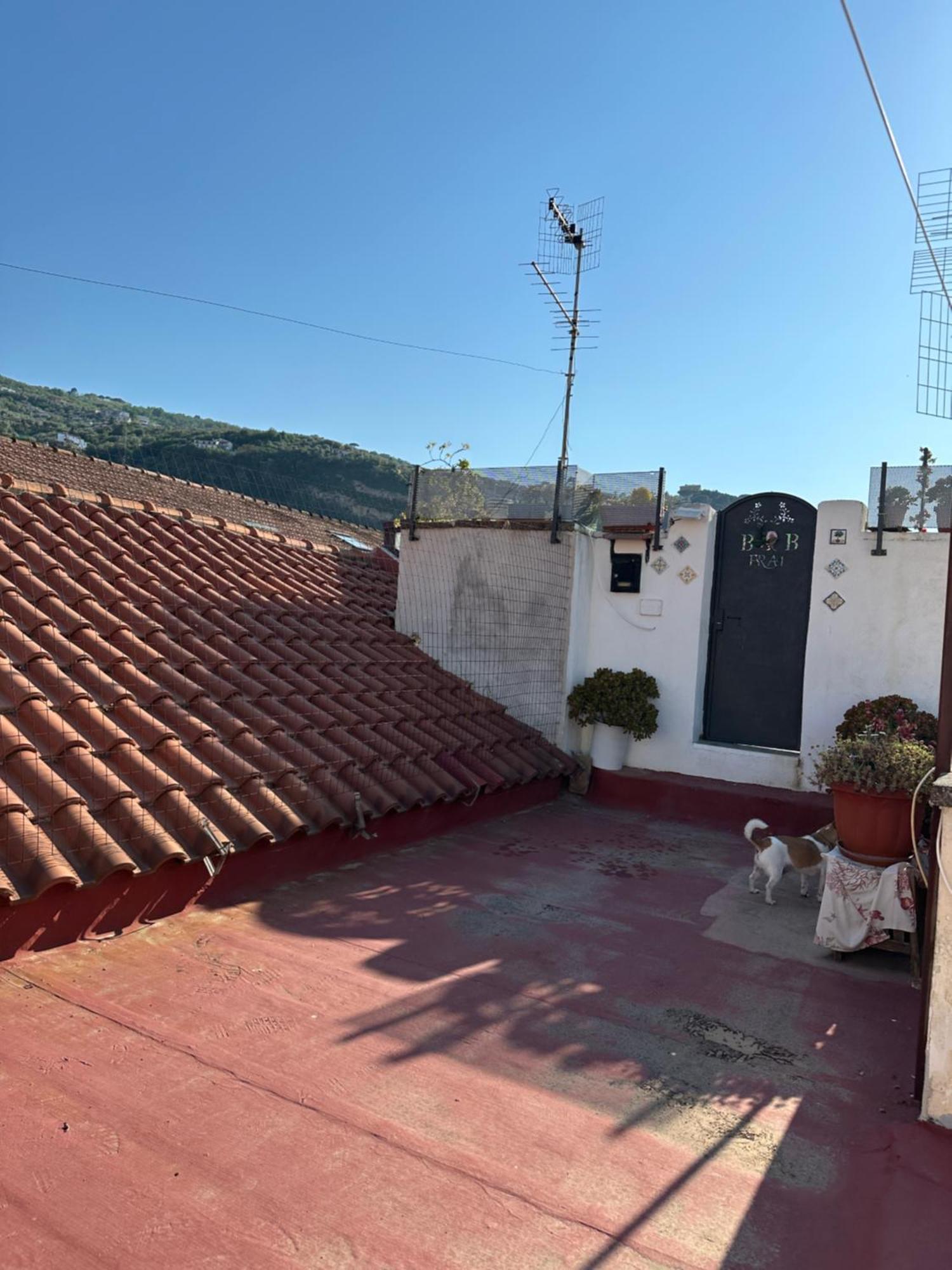 B&B Frai Sorrento Buitenkant foto